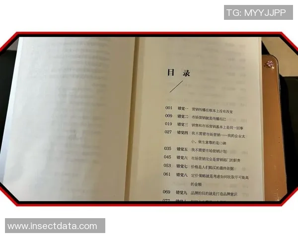 派拉蒙携手欧冠赛事精准锁定特定用户群体的营销策略分析